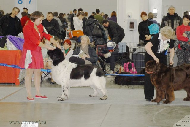 Фотография № 92865