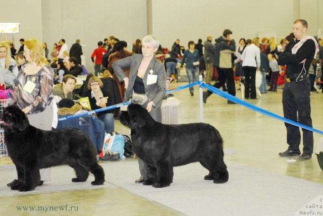 Фотография № 92867