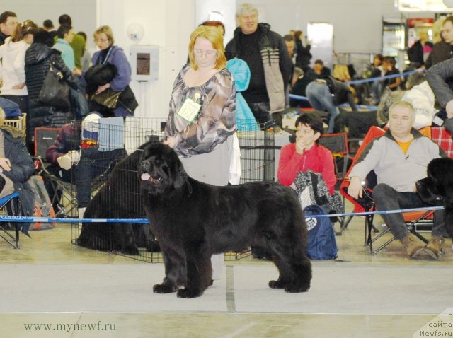 Фотография № 92871