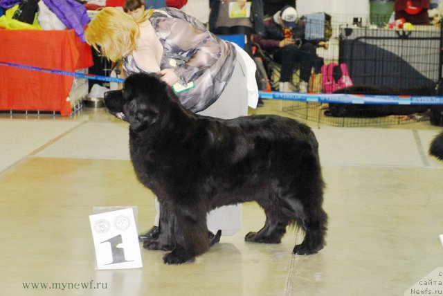 Фотография № 92872