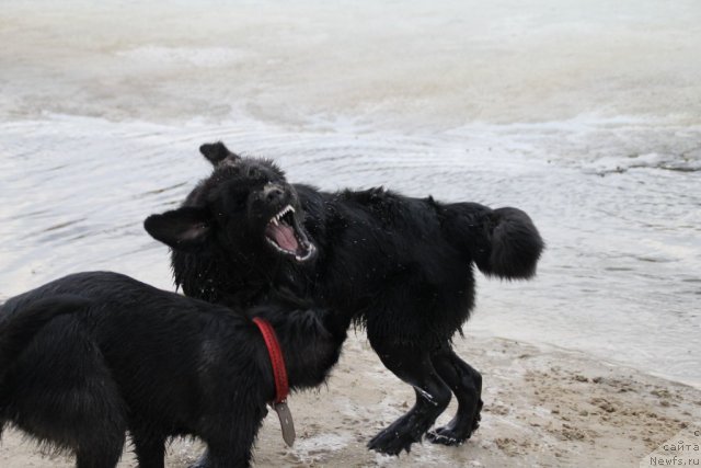 Фотография № 92873