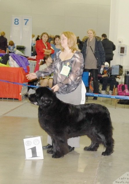 Фотография № 92874