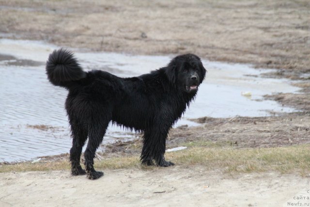 Фотография № 92876