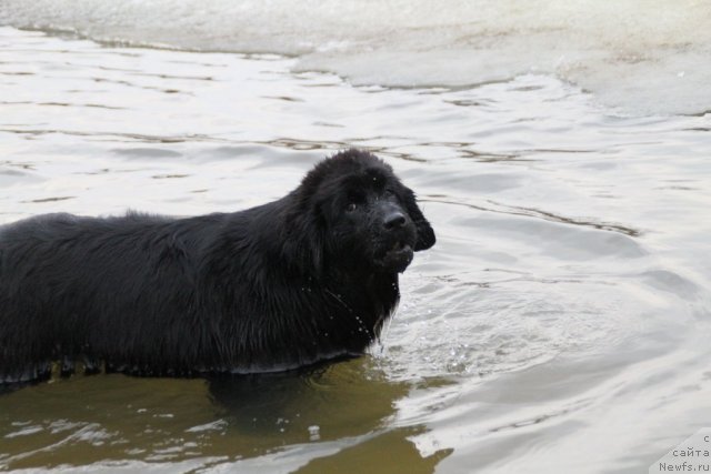 Фотография № 92881