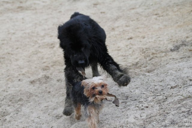 Фотография № 92883