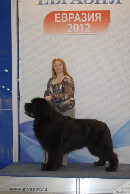 Фотография № 92884