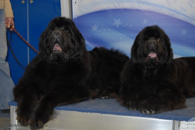 Фотография № 92887