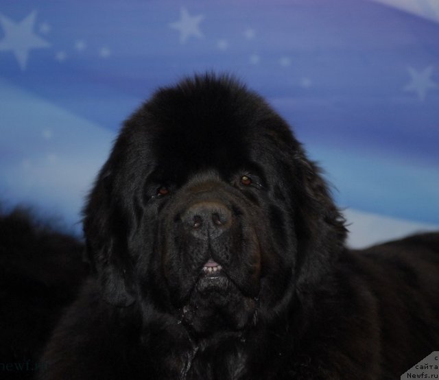 Фотография № 92890