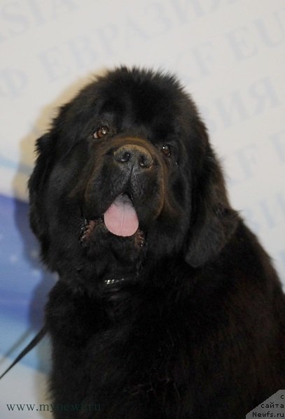 Фотография № 92898