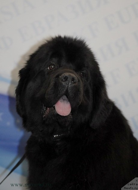 Фотография № 92899