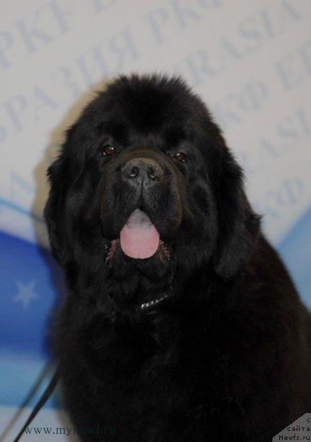 Фотография № 92901