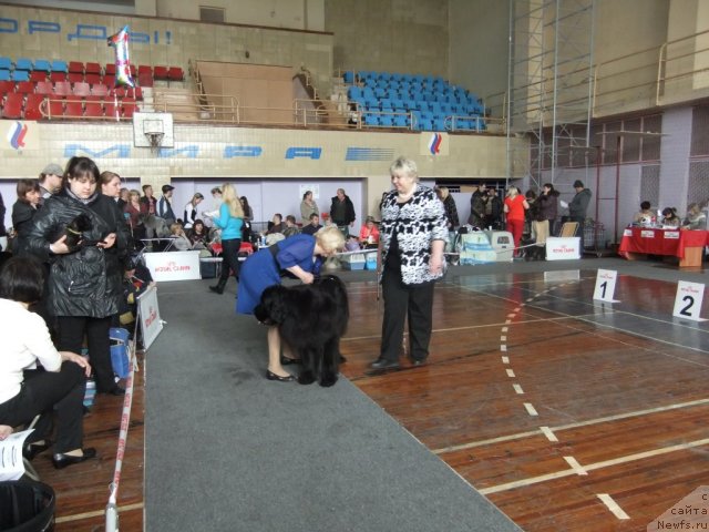 Фотография № 92918