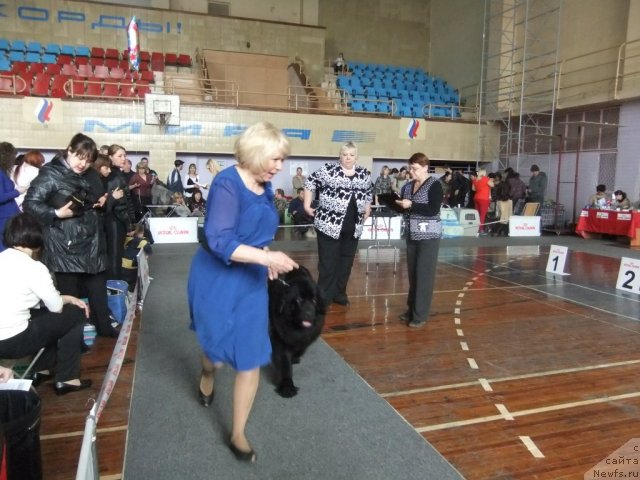 Фотография № 92920