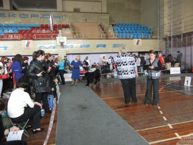 Фотография № 92921