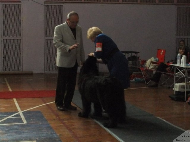 Фотография № 92923