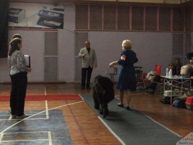 Фотография № 92927