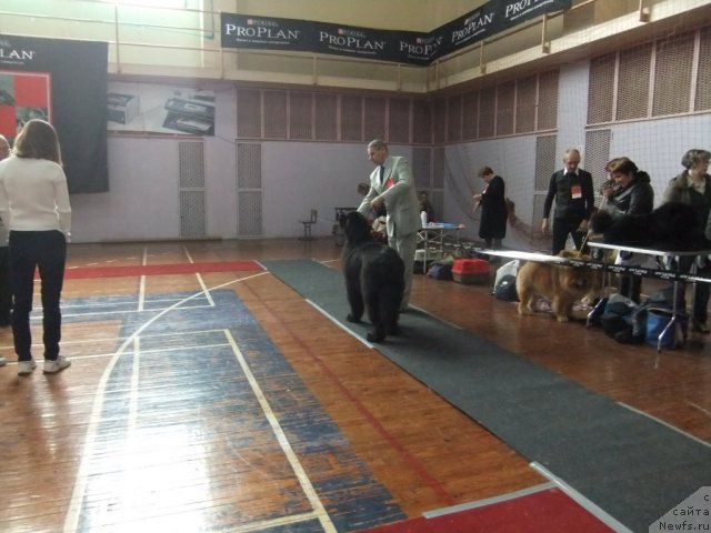 Фотография № 92928