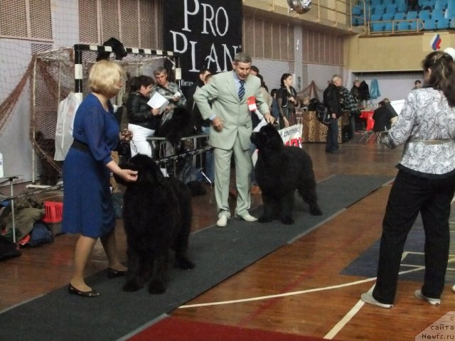 Фотография № 92931