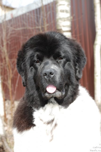 Фотография № 93021