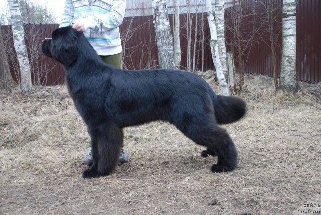 Фотография № 93022