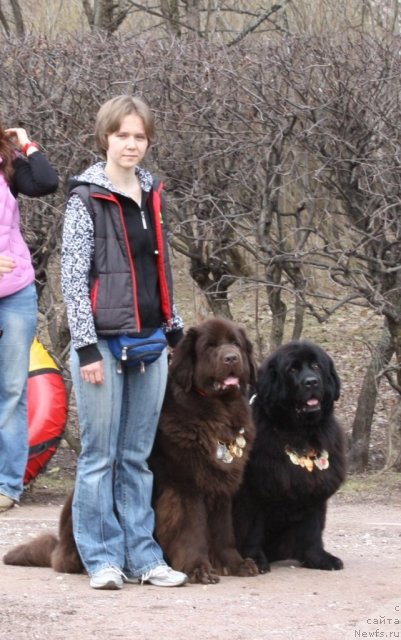 Фотография № 93088