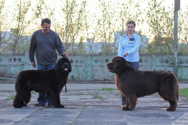 Фотография № 93096