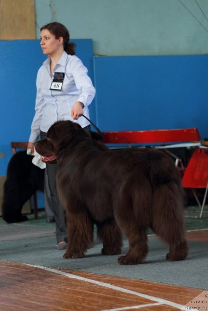 Фотография № 93097