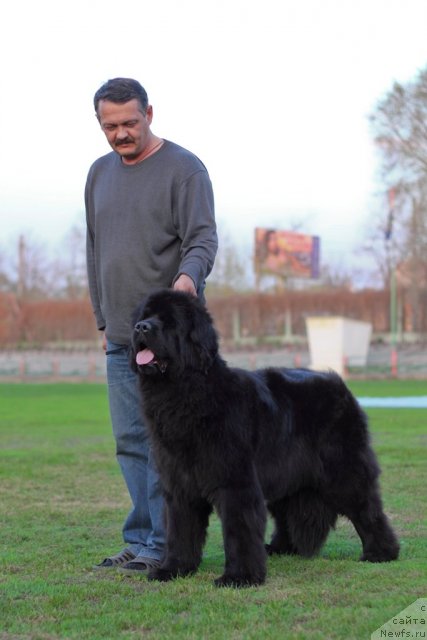 Фотография № 93099