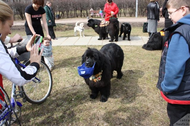 Фотография № 93100