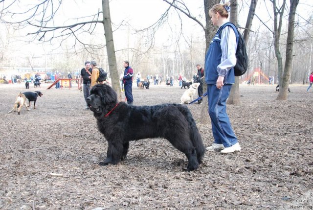 Фотография № 93140