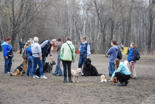 Фотография № 93141