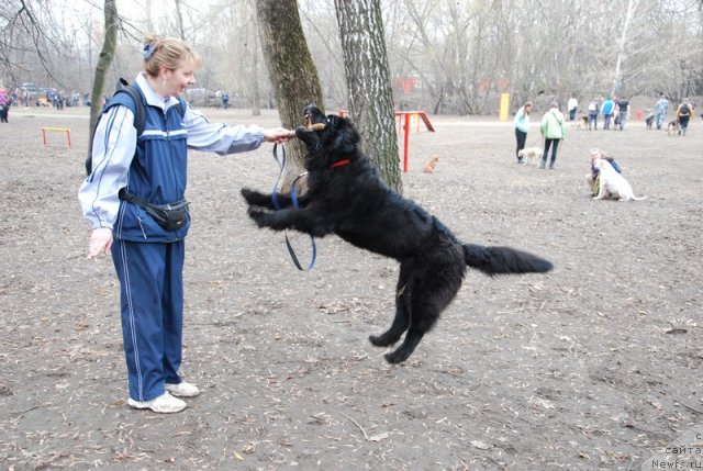 Фотография № 93143