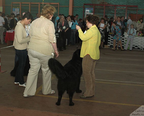 Фотография № 93169