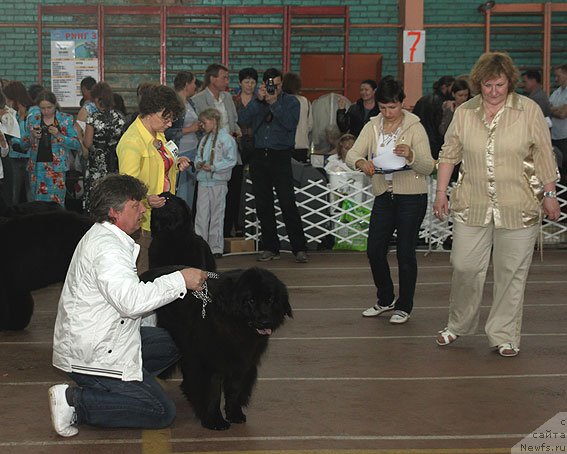 Фотография № 93181