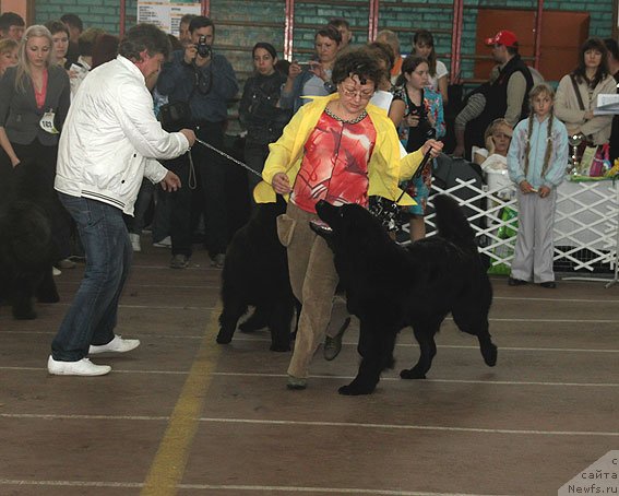 Фотография № 93183