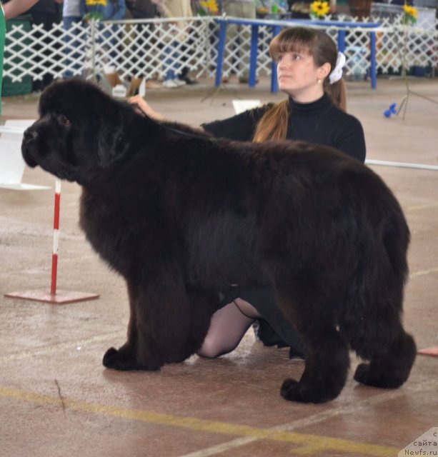 Фотография № 93185