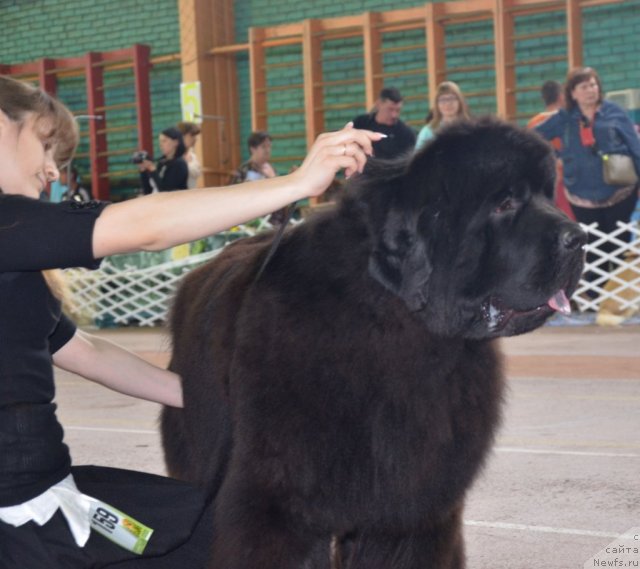 Фотография № 93188