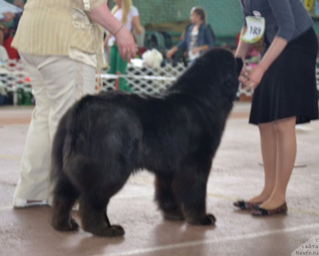 Фотография № 93192