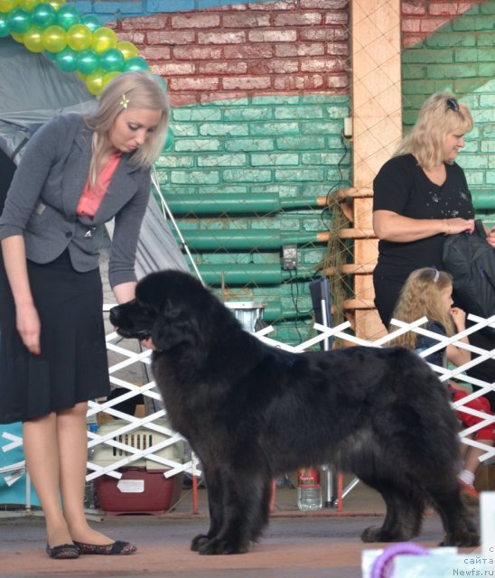 Фотография № 93200