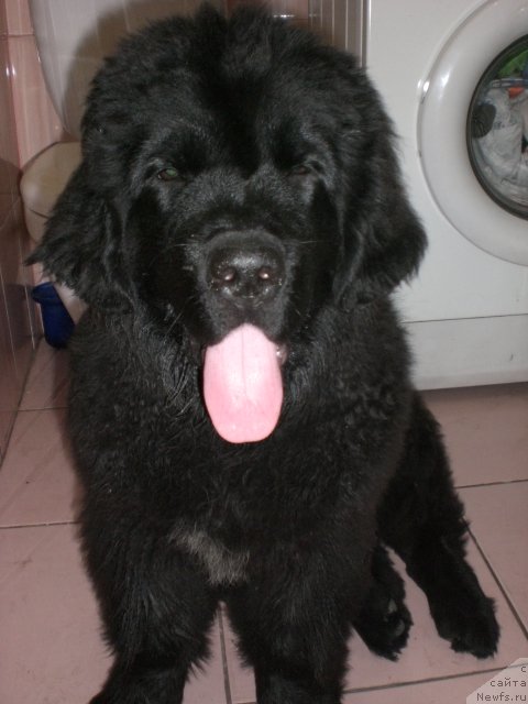 Фото: Олеся Рогова