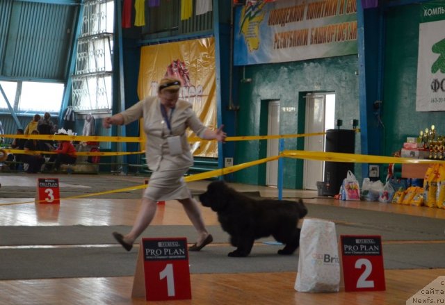 Фотография № 93210