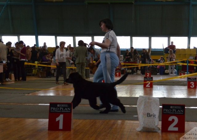 Фотография № 93211