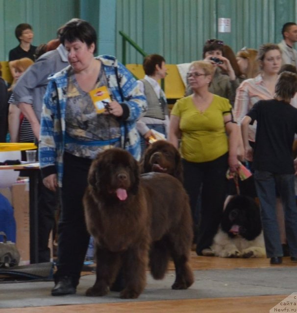 Фотография № 93218