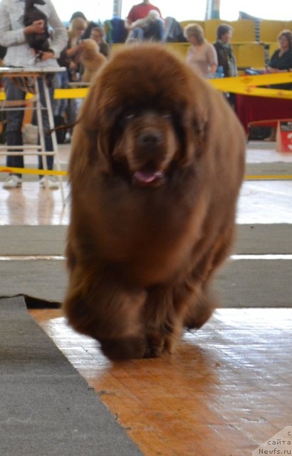 Фотография № 93223