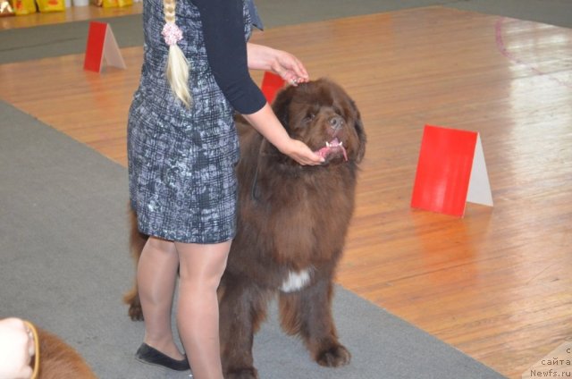 Фотография № 93224