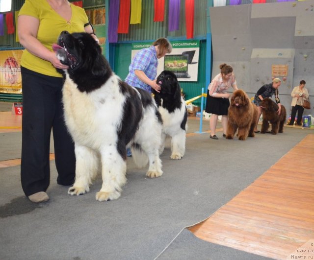 Фотография № 93225