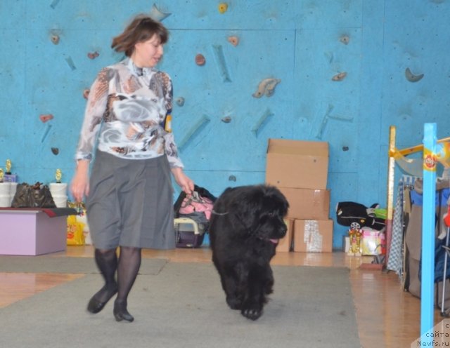 Фотография № 93228