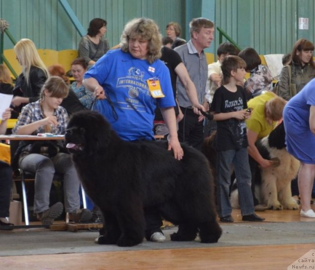 Фотография № 93252