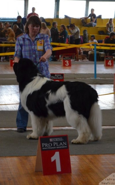 Фотография № 93254