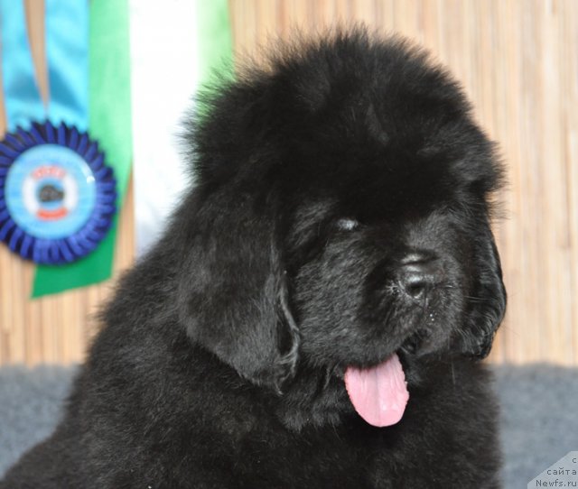 Фото: Бегущая по волнам ФАИР ПЛЭЙ